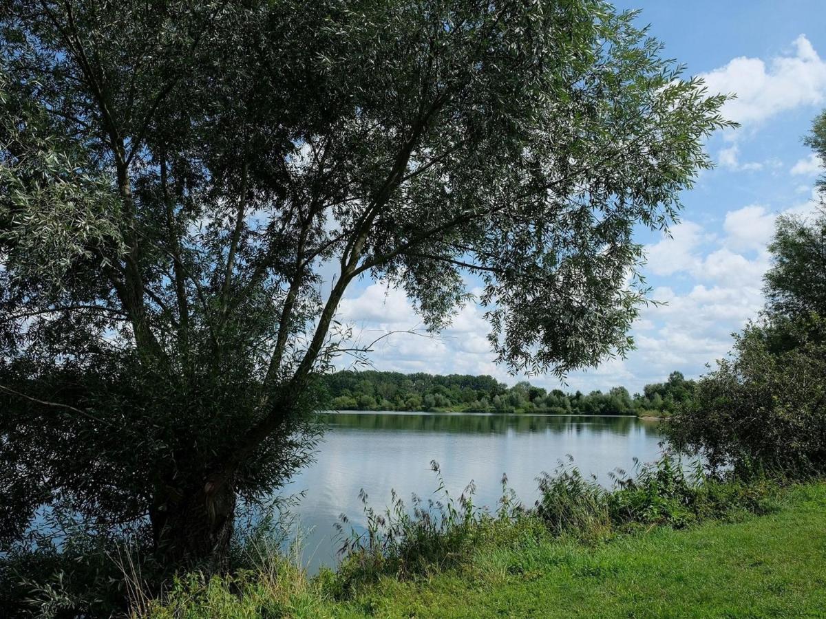 Pension Steinle Erbach an der Danau Zewnętrze zdjęcie