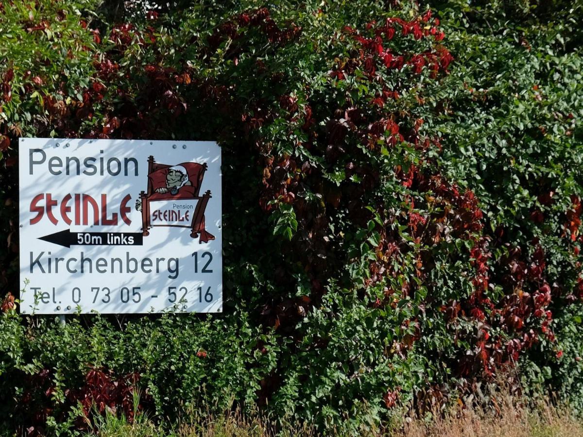 Pension Steinle Erbach an der Danau Zewnętrze zdjęcie